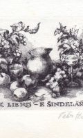 E.Šindelář - Zátiší s jablky 72x90 C3C5