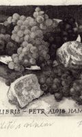 P.A.Hampl  -  Zátiší s vínem 120x95